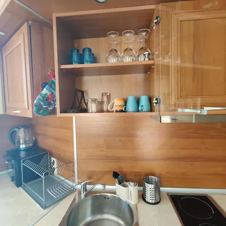 Fenix Emerald Apartament